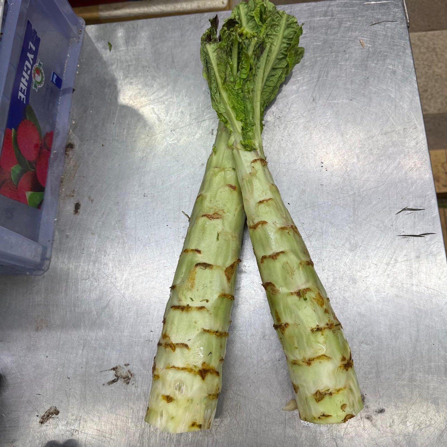 Chinese Lettuce Stem (500-600G) 窩笋