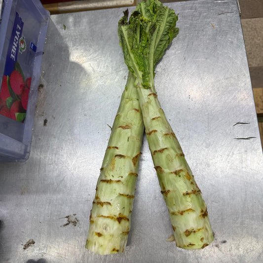 Chinese Lettuce Stem (500-600G) 窩笋