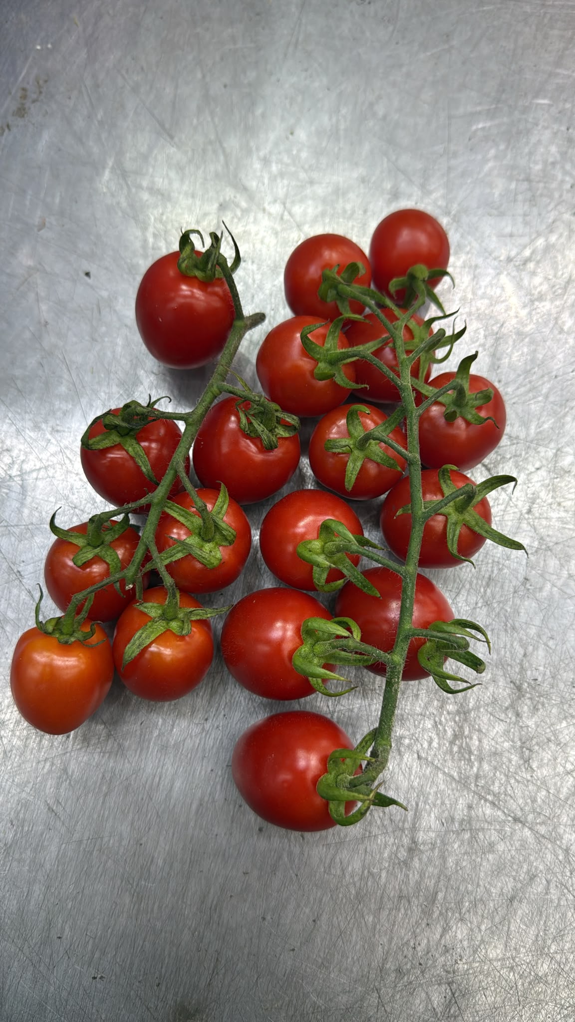 Netherlands Cherry Tomato (280-300G)