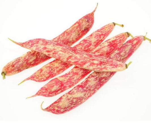 Cameron Pearl Bean (150G) 珍珠豆