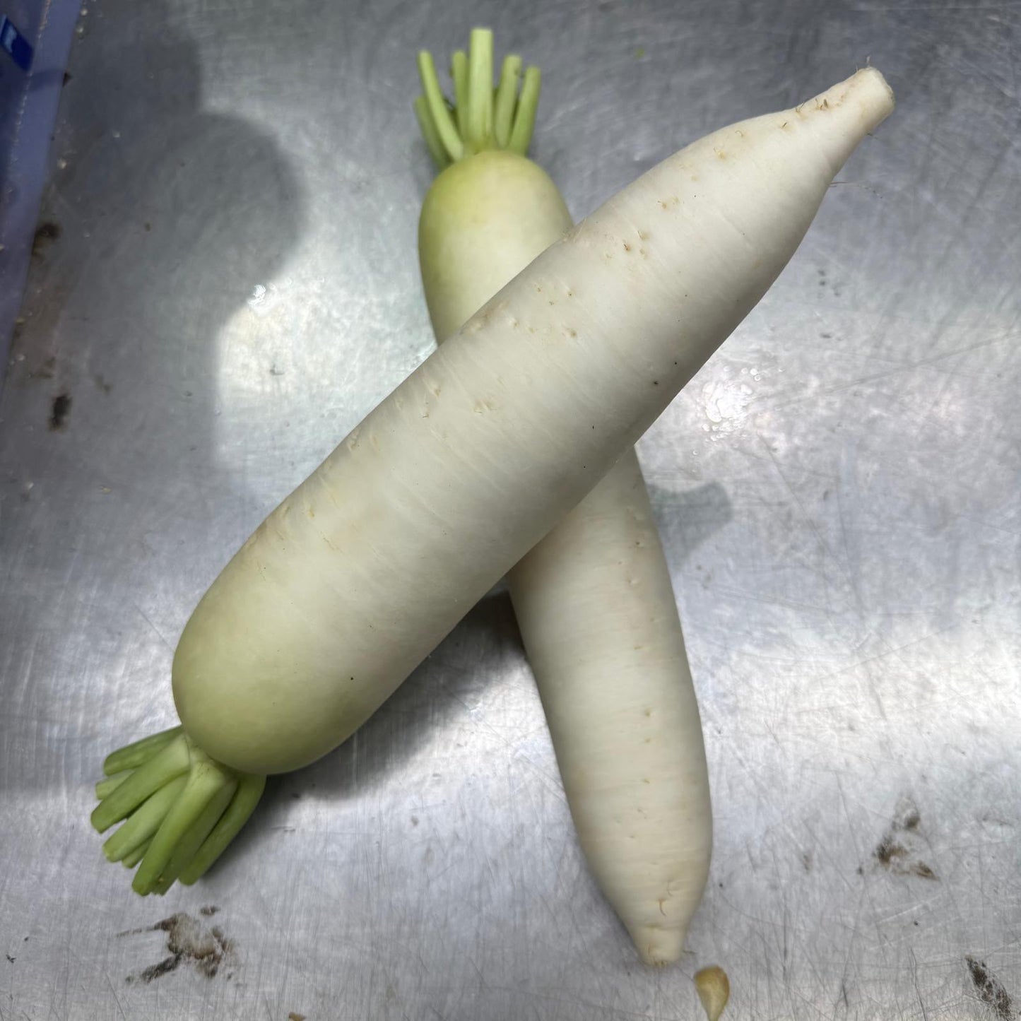 Cameron Highlands Radish (450-550G)