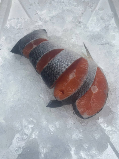 Salmon Tail (~500G) 三文鱼