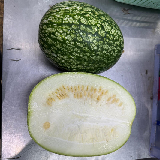 Cameron Highlands Sharkfin Melon (1-1.2 KG