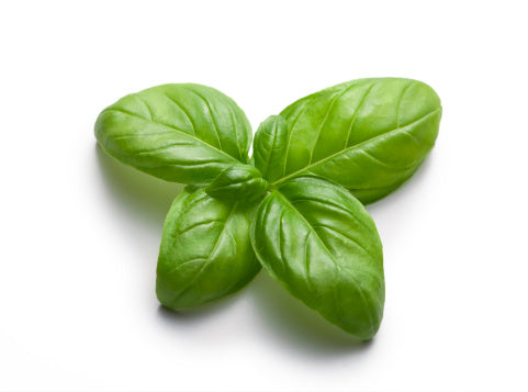 Australian Sweet Basil 50G 罗勒