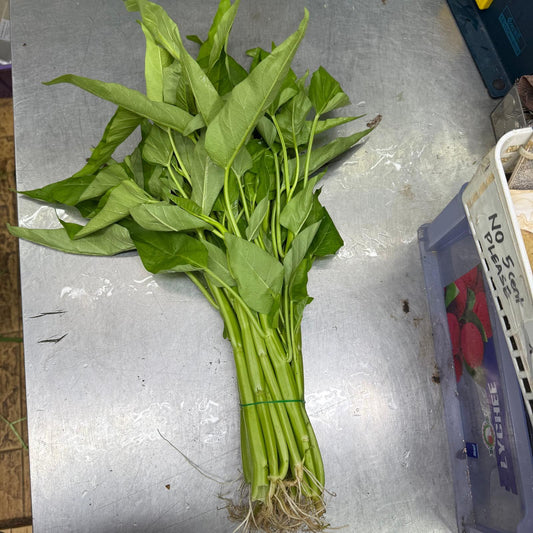 Taiwan Kang Kong (local) (250-300G)
