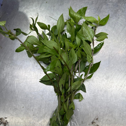 Thai Basil Leaf (50-100G)