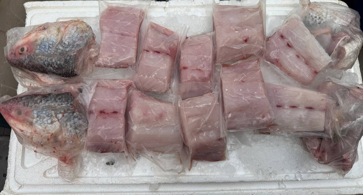 Thread Fin Fillet Whole Threadfin (3-6 KG) 午鱼 | Ding Xin Seafood