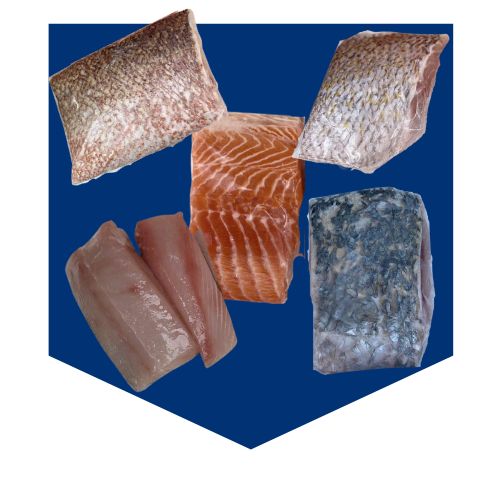 Mini Fillet Pack (1.5 KG)