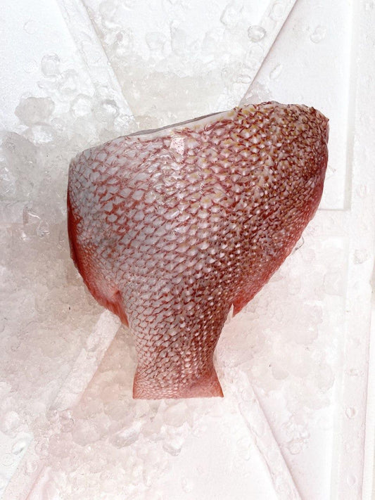 fresh emperor red snapper fish