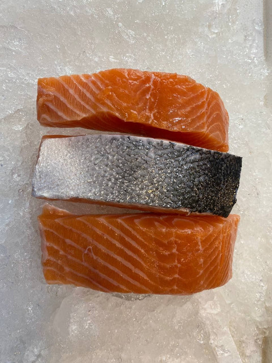 fresh salmon fish fillet