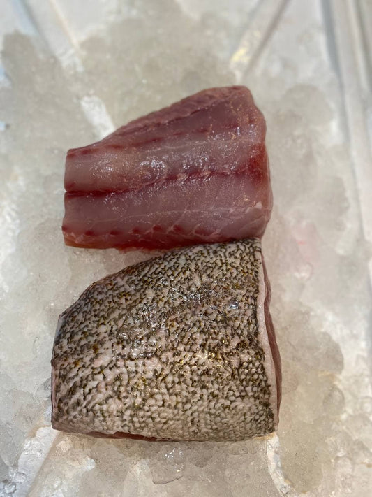 fresh grouper fish fillet