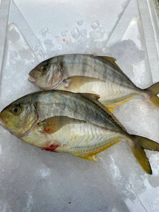 Whole Boon Nan Fish (~400-500G)