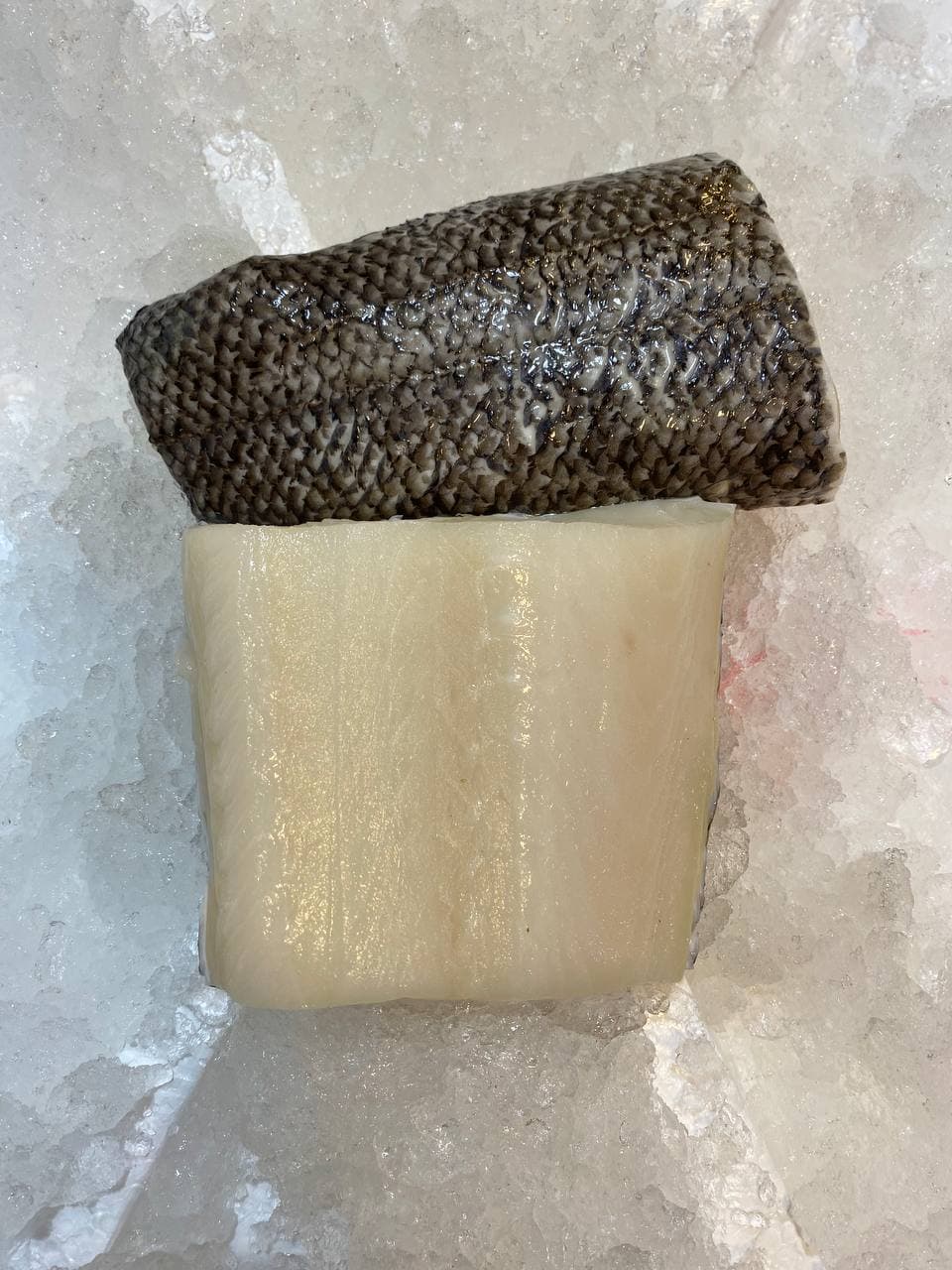 fresh cod fish fillet