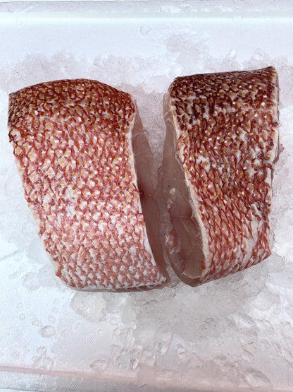 fresh emperor red snapper fish