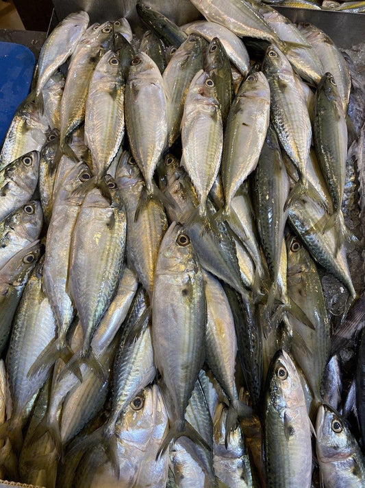 Whole Ikan Kembong (1 KG)