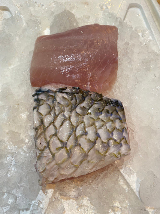 Parrotfish Fillet 鹦嘴鱼