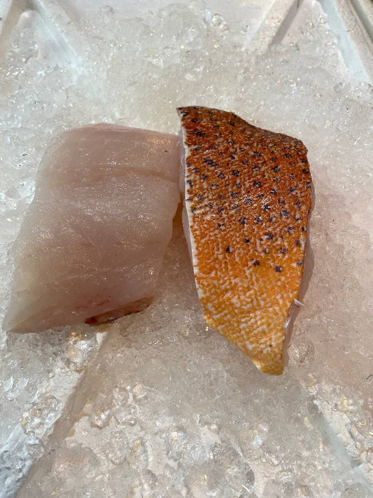 fresh red grouper fish fillet
