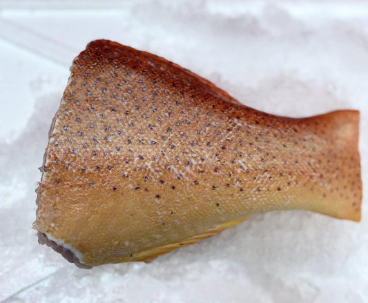 fresh red grouper / red garoupa fish tail