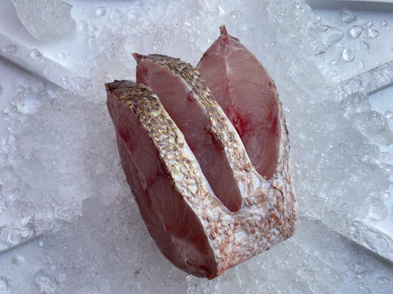 fresh red snapper / ikan merah fish 