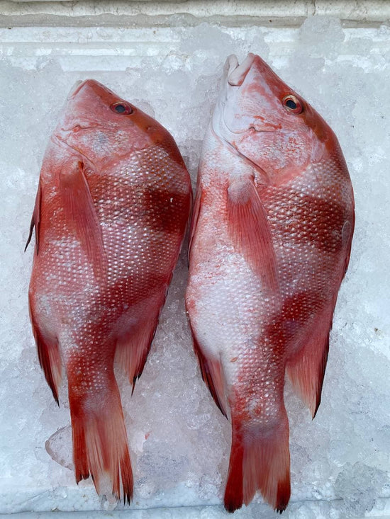 Emperer Snapper Whole Emperor Red Snapper (500G-1 KG) – Ding Xin Seafood