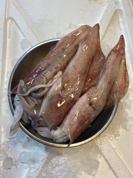 fresh squid sotong delivery